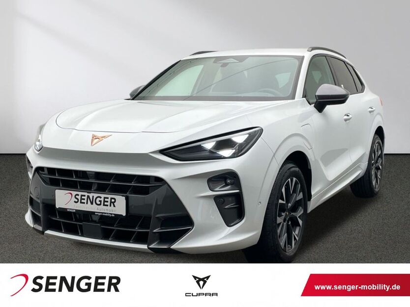 Cupra Terramar 11.500 km 43.890 € Münster 48157