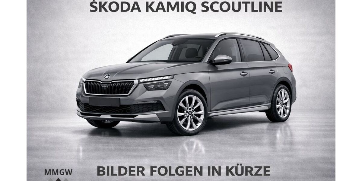 Skoda Kamiq 77.925 km 19.490 &euro; Bensheim 64625