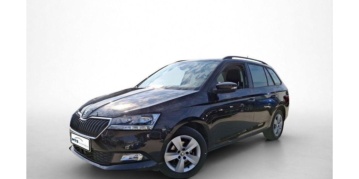 Skoda Fabia 109.942 km 9.650 &euro; Friedberg 61169