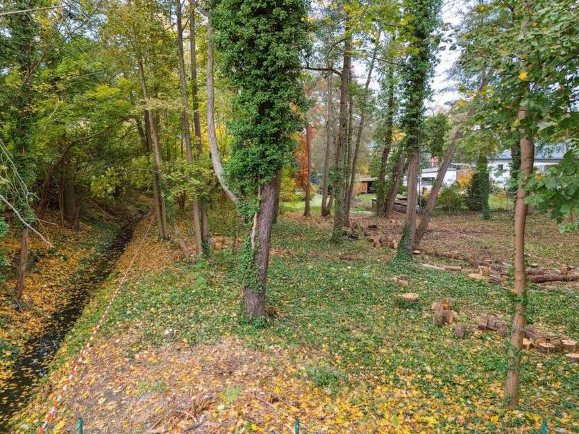 Grundstück zu verkaufen in Zeuthen 199.000 € 741 m² zimmer