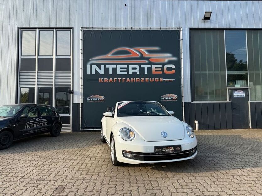Beetle