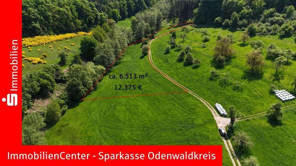 Grundstück in Reichelsheim 28.255 € 14871 m²