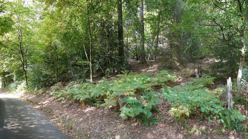 Grundstück Gummersbach - Wasserfuhr Wasserfuhr - 174.000&euro; | Angebot:23205767