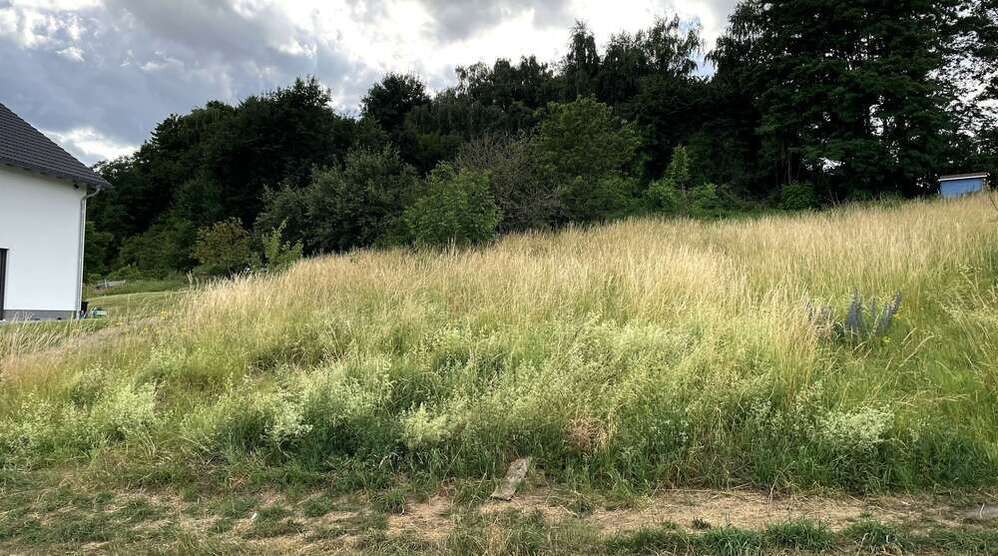Grundstück zu verkaufen in Bassenheim 327.600 € 1092 m²