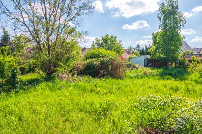 +++Zentral und ruhig: Schönes Grundstück in Zwickau-Weißenborn für individuelle Wohnprojekte+++