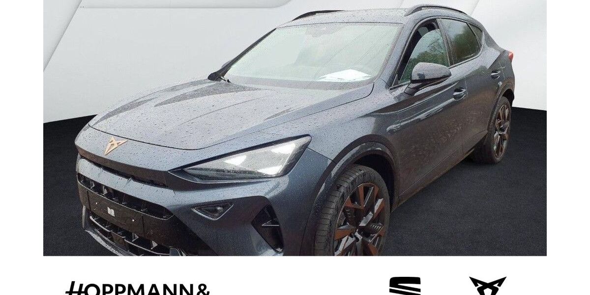 Cupra Formentor 2.031 km 33.950 &euro; Dillenburg 35683