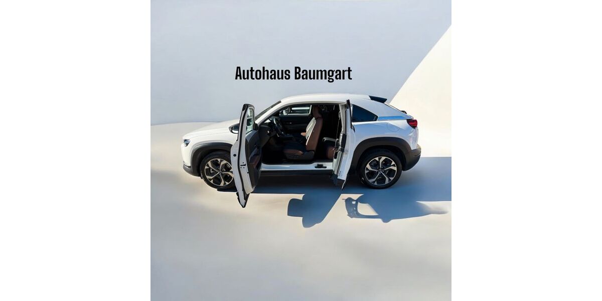 Mazda MX-30 14.606 km 24.900 &euro; Altensteig 72213