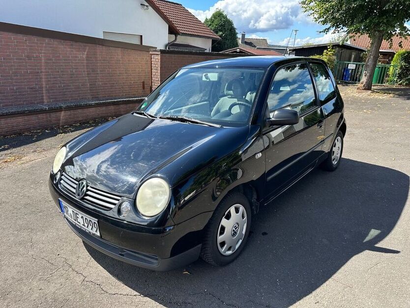 Lupo