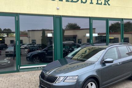 Skoda Octavia 84.150 km 18.990 € Landau 76829