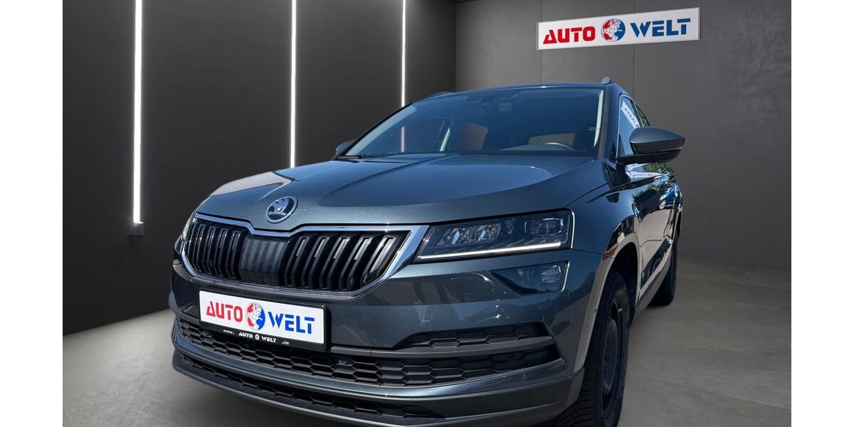 Skoda Karoq 49.565 km 18.990 &euro; Sandersdorf Brehna 06796