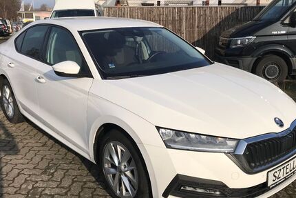 Skoda Octavia 179.281 km 18.999 &euro; Braunschweig 38110