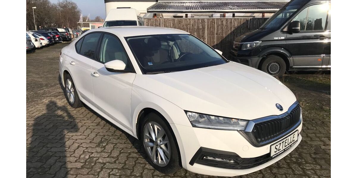 Skoda Octavia 179.281 km 18.999 &euro; Braunschweig 38110