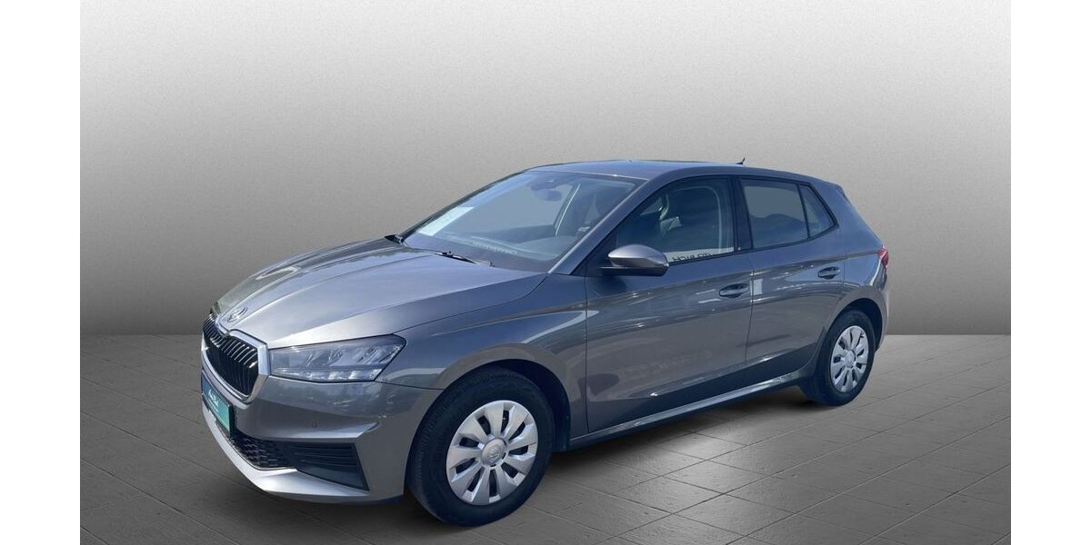 Skoda Fabia 47.554 km 16.880 &euro; Diez 65582