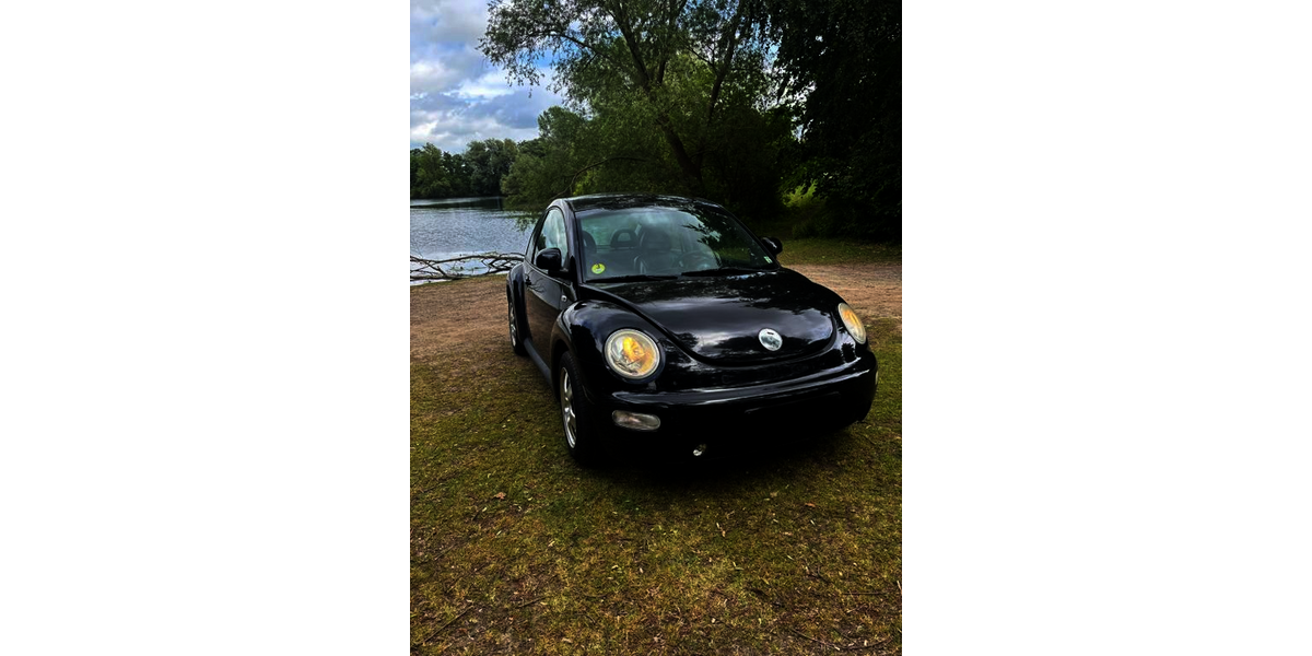 VW Beetle 433.500 km 3.500 &euro; Peine 31226