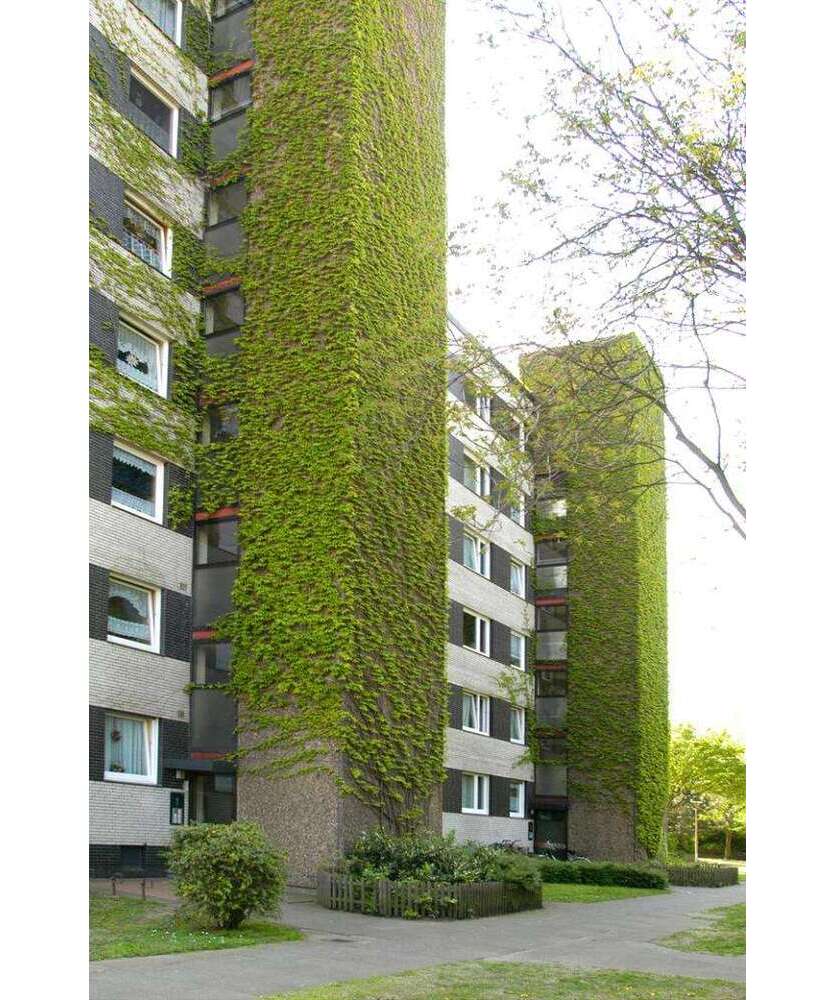Wohnung zum Mieten in Duisburg 599 € 72 m²
