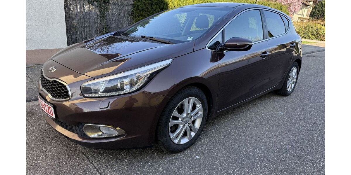 Kia ceed / Ceed 290.000 km 5.400 &euro; Graben Neudorf 76676
