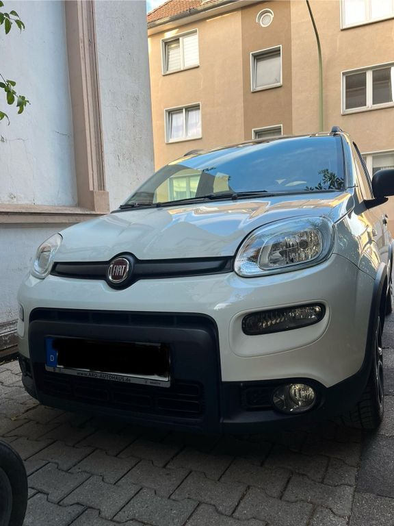Panda