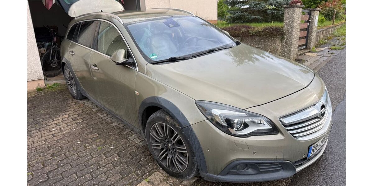 Opel Insignia CT 208.000 km 4.000 &euro; Spalt 91174