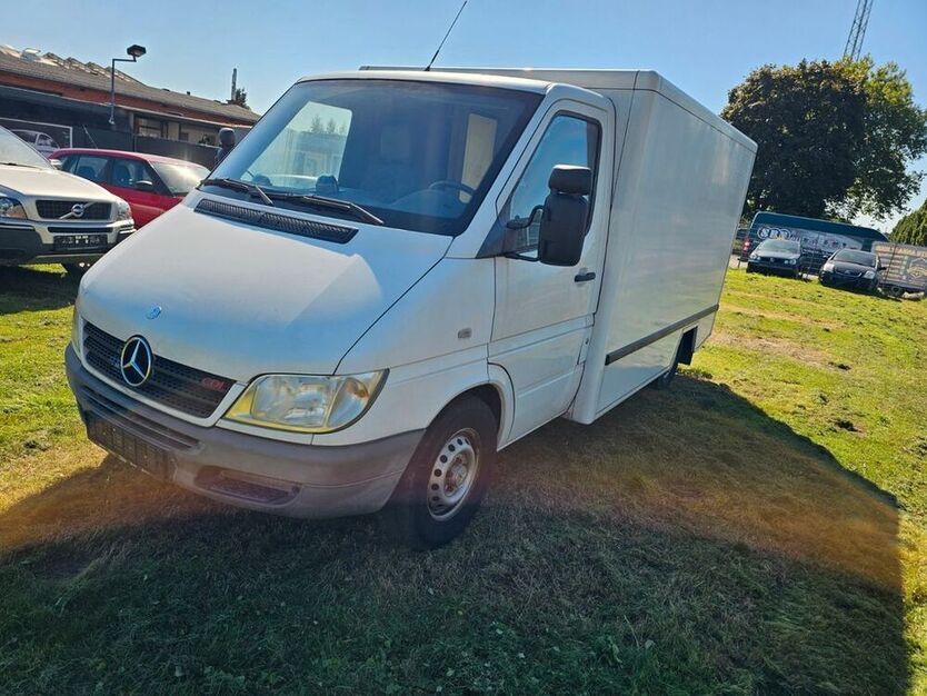 Sprinter