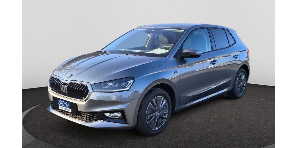 Skoda Fabia 4.500 km 22.490 &euro; Hof 95032