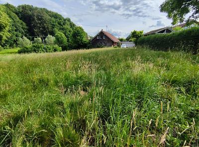 IHR GRÜNES PARADIES FÜR DIE GANZE FAMILIE - Grundstück Weißenhorn | Angebot:27078436