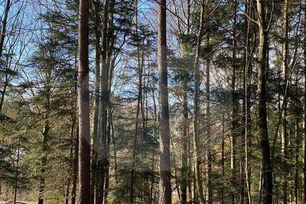 Grundstück Auerbach Prechhausen - 12.000&euro; | Angebot:24916903