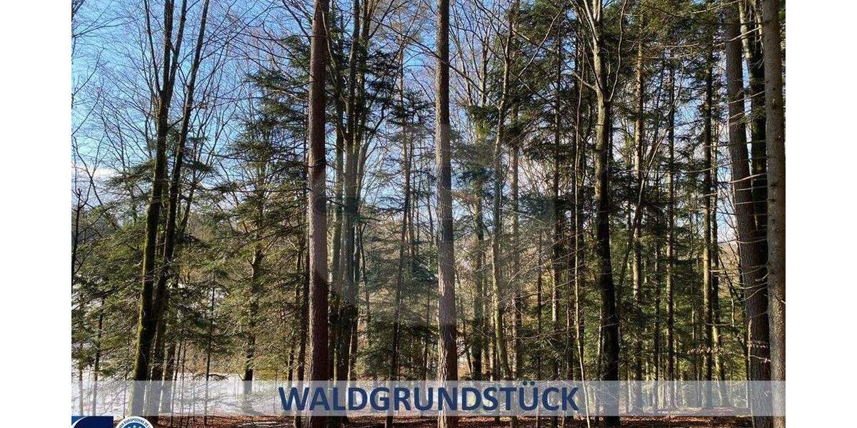 Grundstück Auerbach Prechhausen - 12.000&euro; | Angebot:24916903