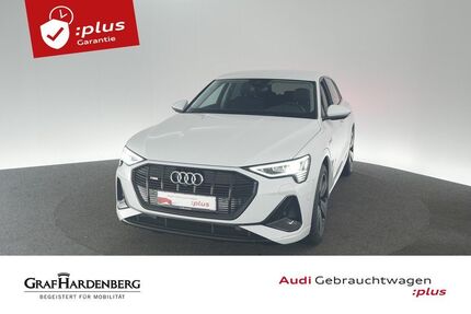 Audi e-tron 21.400 km 42.930 € Aach 78267
