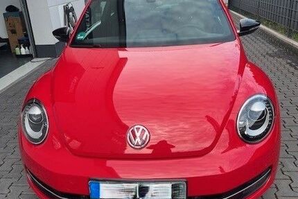 VW Beetle