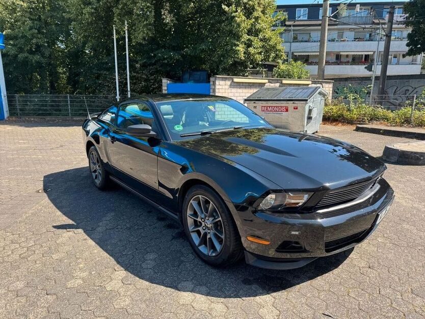 Mustang