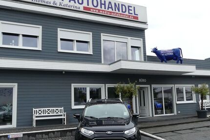 Ford EcoSport 126.000 km 8.000 &euro; Magdeburg 39108