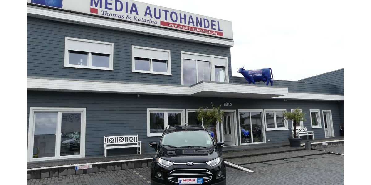 Ford EcoSport 126.000 km 8.000 &euro; Magdeburg 39108