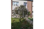 Reihenhaus Solingen - 4 Zimmer, 120 m&sup2;, 390.000&euro; | Angebot:26537681