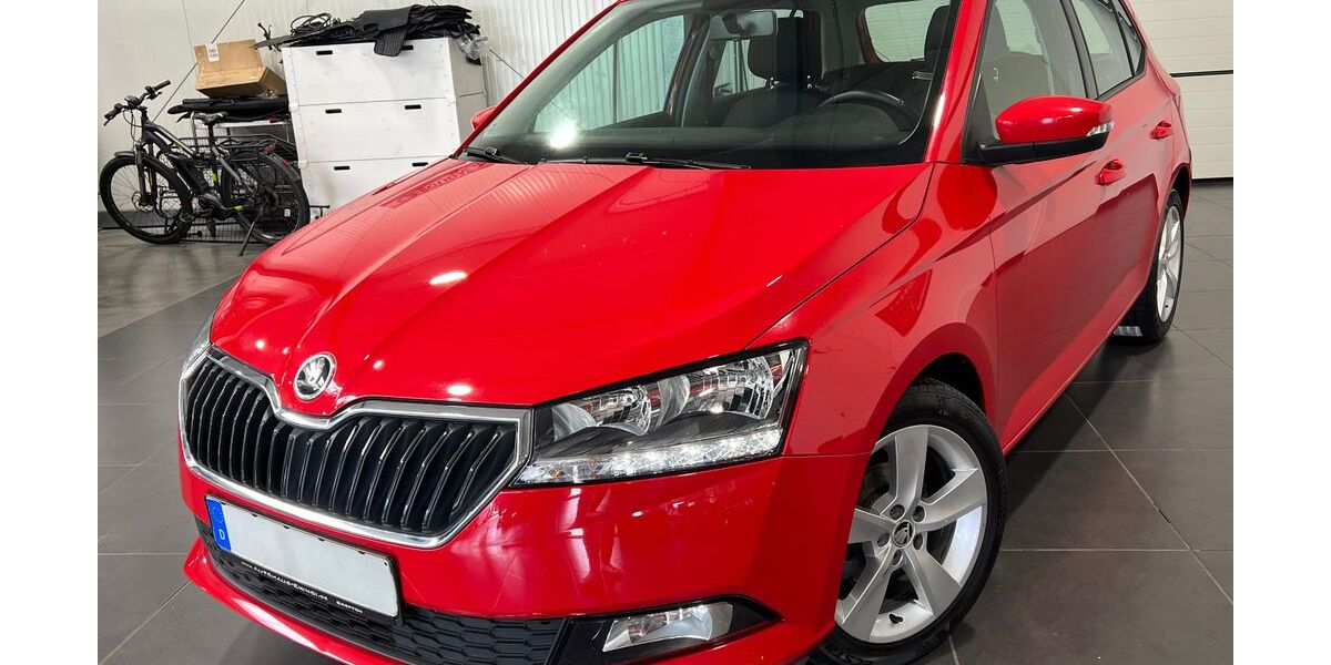 Skoda Fabia 89.000 km 10.495 &euro; Bretten 75015