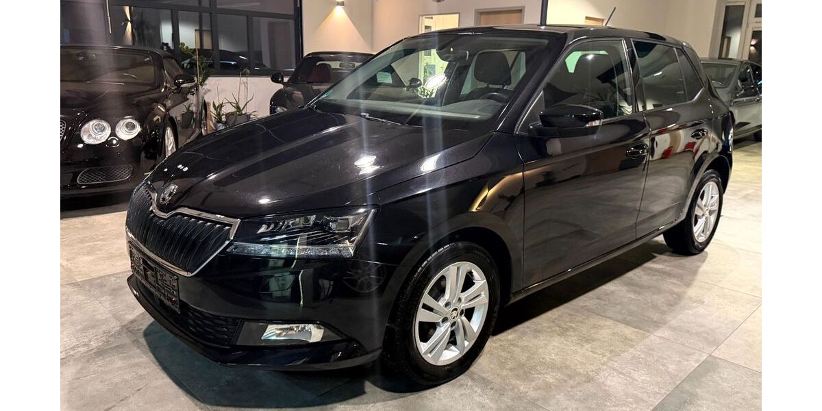 Skoda Fabia 55.000 km 11.900 &euro; Calw 75365