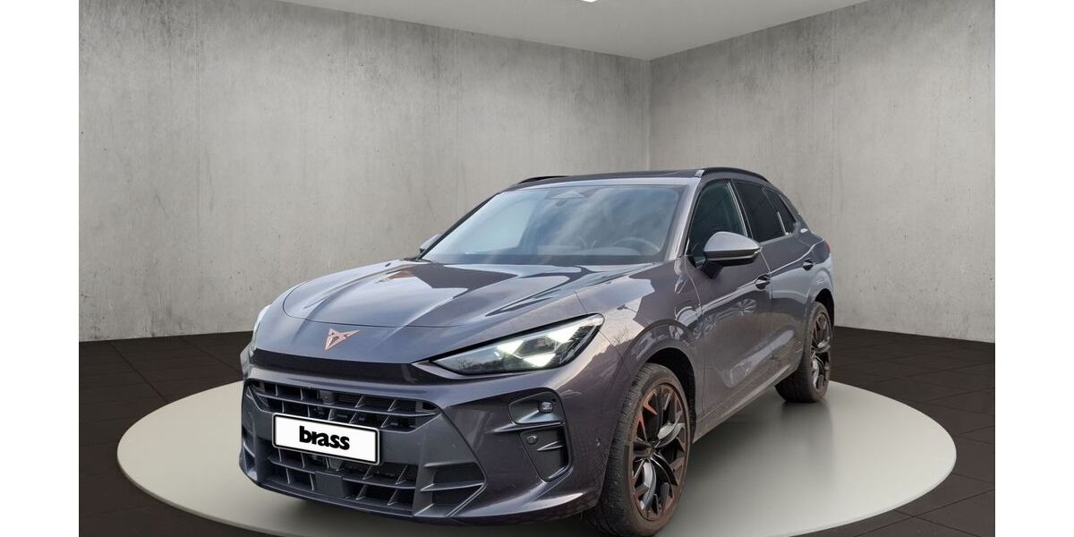 Cupra Terramar 9.999 km 48.950 &euro; Frankfurt 60488