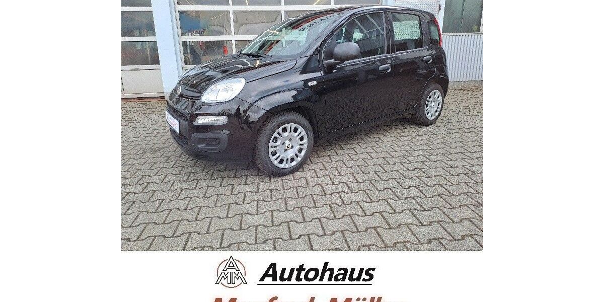 Fiat Panda 3.000 km 14.990 &euro; Erbach 64711