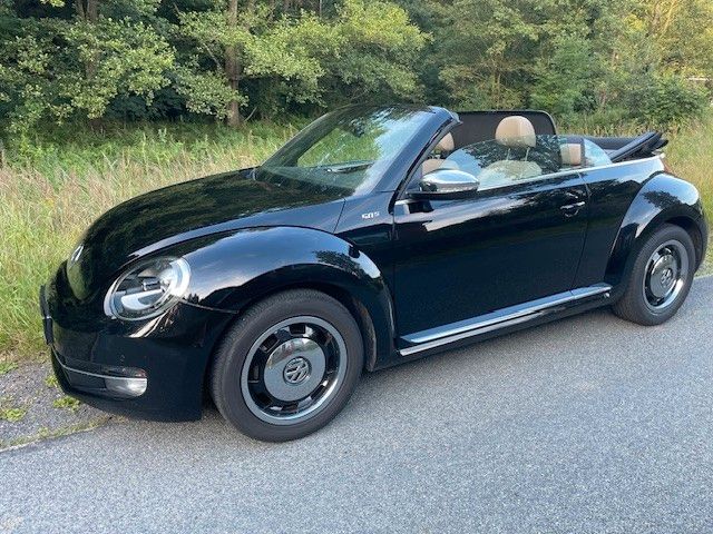 Beetle