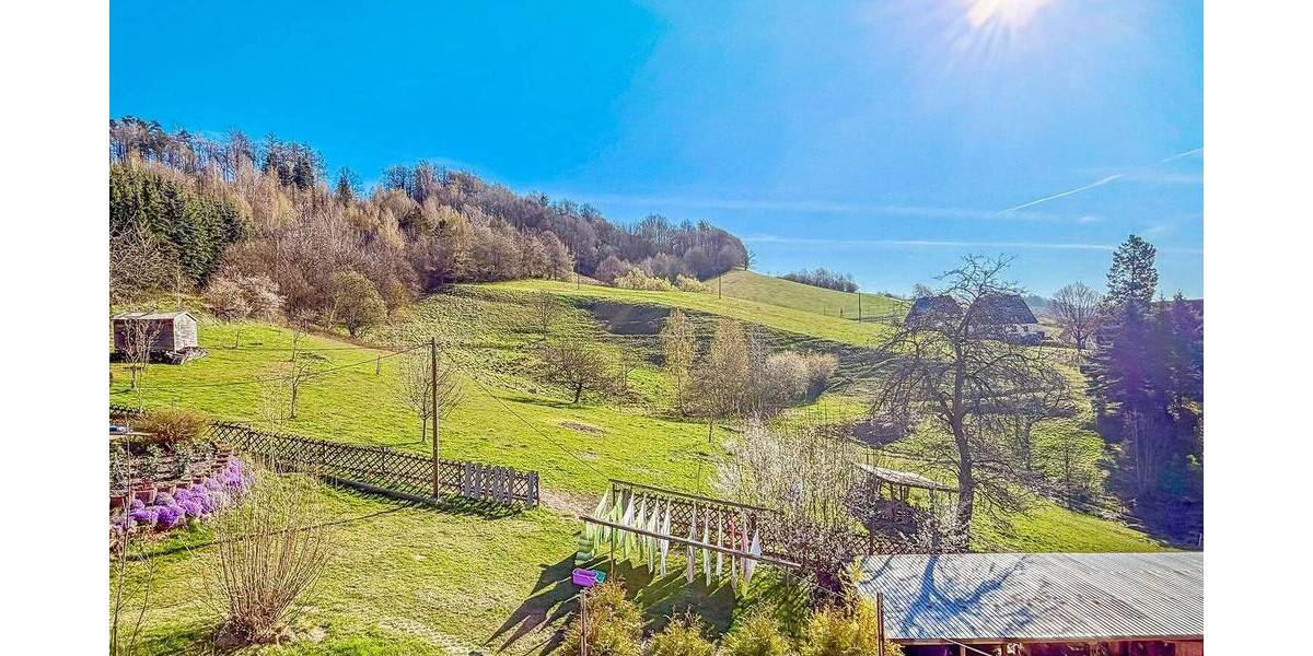 Mehrfamilienhaus, Wohnhaus Sebnitz Saupsdorf - 2 Zimmer, 686 m&sup2;, 397.000&euro; | Angebot:26758496