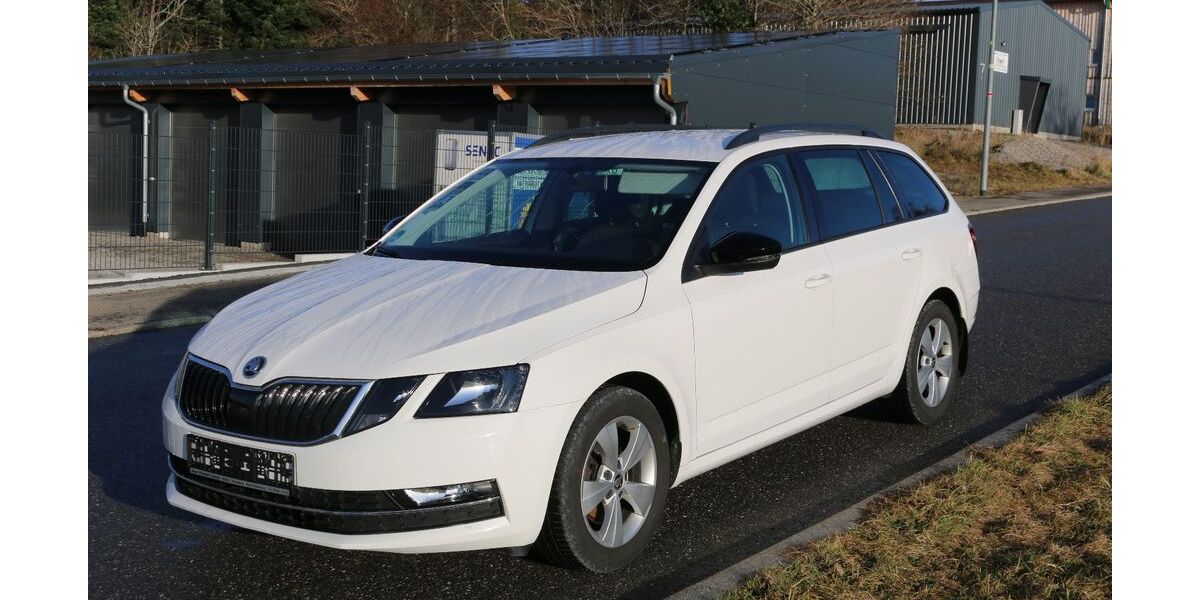 Skoda Octavia 87.000 km 18.490 &euro; Aichhalden-Rötenberg 78733
