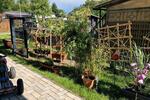 Bungalow Gifhorn - 4 Zimmer, 80 m&sup2;, 133.000&euro; | Angebot:27137888
