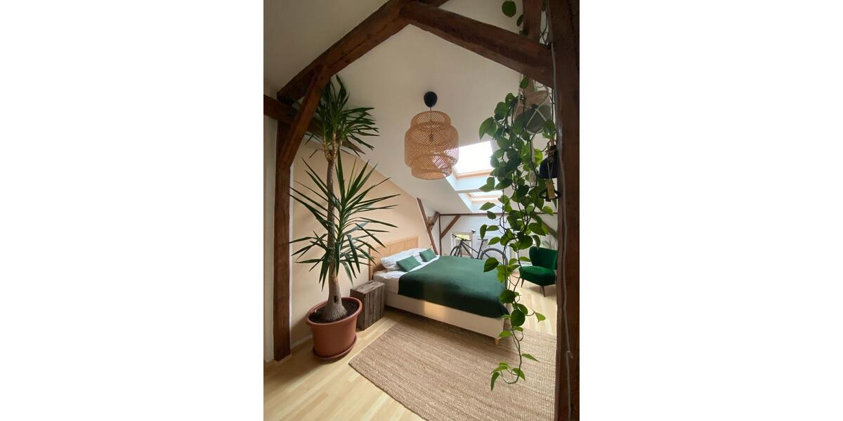 Dachgeschoßwohnung Rostock Hansaviertel - 1.5 Zimmer, 44 m&sup2;, 588&euro; | Angebot:25358156