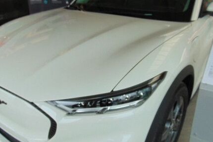 Ford Mustang Mach-E 45.000 km 38.900 € Pegnitz 91257