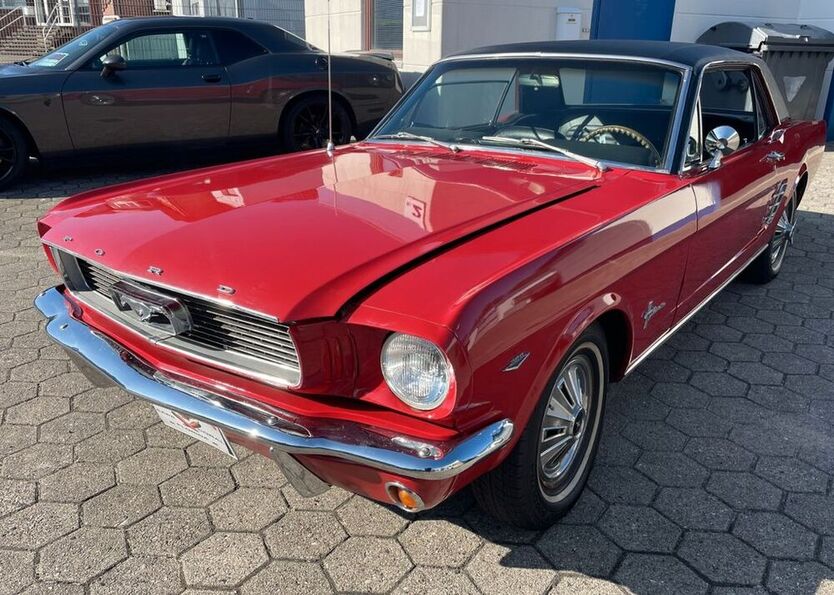 Mustang
