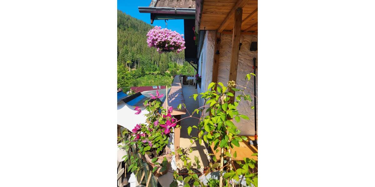 Doppelhaushälfte Baiersbronn - 7 Zimmer, 115 m&sup2;, 339.000&euro; | Angebot:26906854