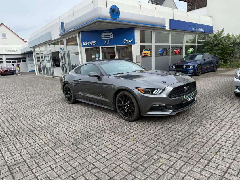 Mustang