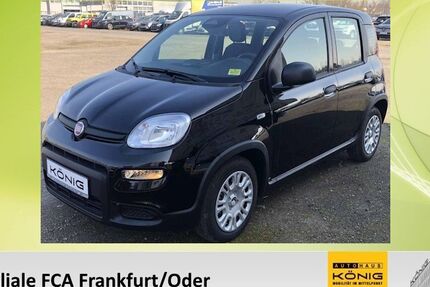 Fiat Panda 2.100 km 12.689 &euro; Frankfurt/Oder 15234