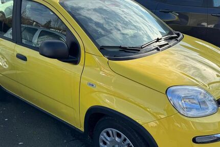 Fiat Panda 9.900 km 12.480 &euro; Königswinter-Thomasberg 53639