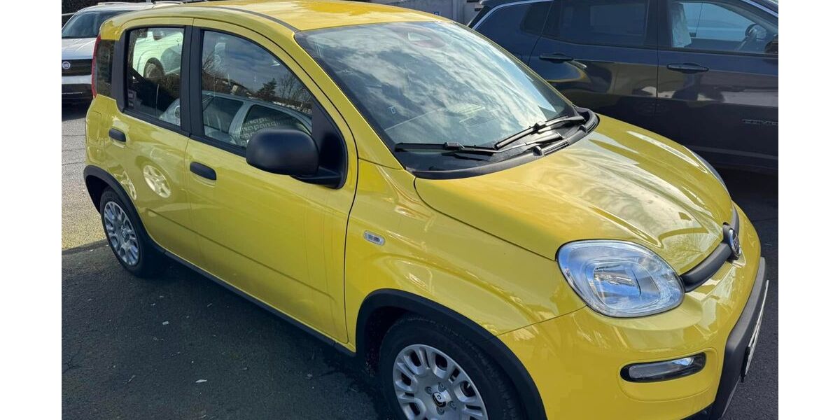 Fiat Panda 9.900 km 12.480 &euro; Königswinter-Thomasberg 53639