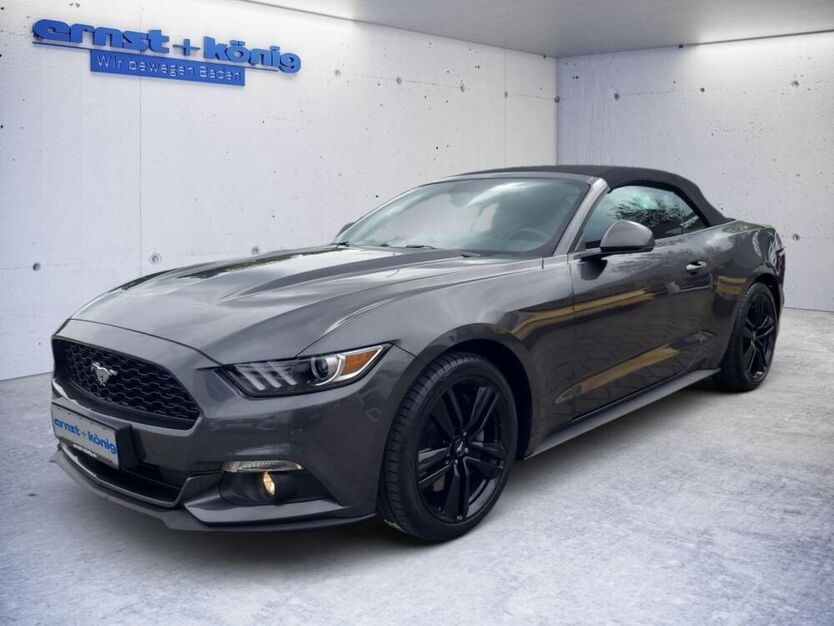 Mustang